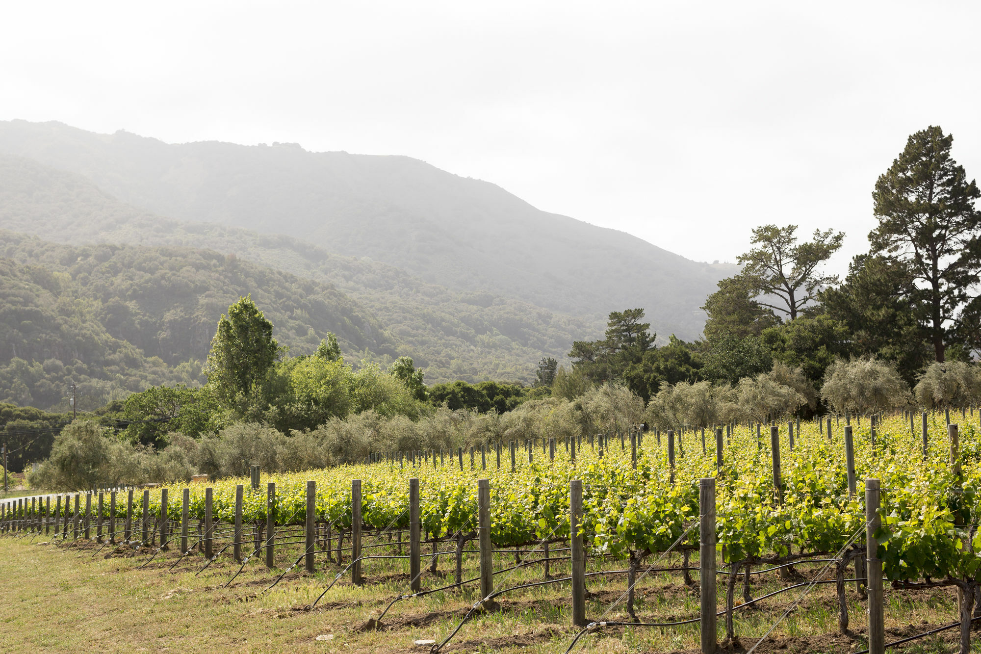 Bernardus Lodge & Spa Carmel Valley Bagian luar foto